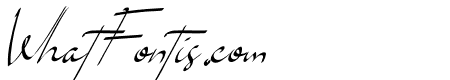 Brouklyn Signature