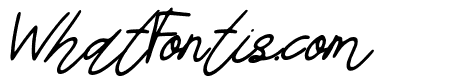 Aiden sign Italic