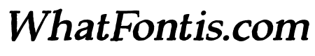 Backzone Bold Italic