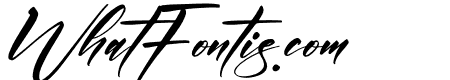 Andilanteria Signature Italic