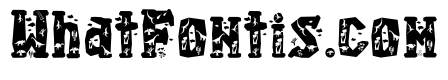 Saurus