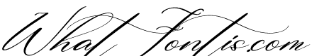 Beautilina Premium Italic