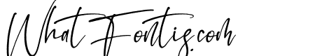 Handwritten Signature Italic