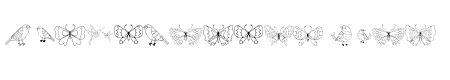 Birds and Butterflies font Reg