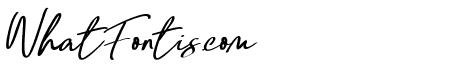 Signature Script 06