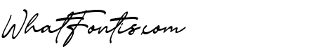 Signature Script 08