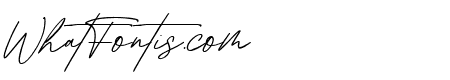 Cinthia Signature