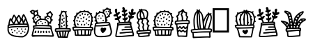 Cactusy