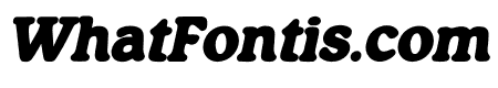 Generation 1970 Bold Italic