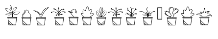 House Plant Regular
