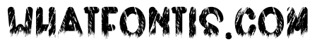 Zompy Bold