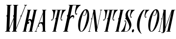 Firebirds-italic