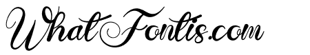 Bagikat Bold Italic