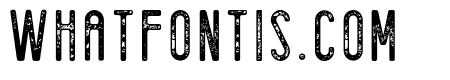 Magnolia Grande Sans Serif Soli