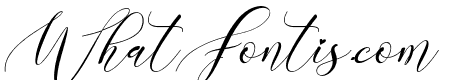 Ariesta Italic