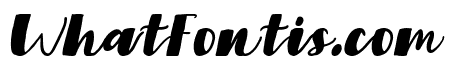 Mangroven Italic