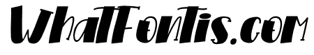 Violethe Italic Italic