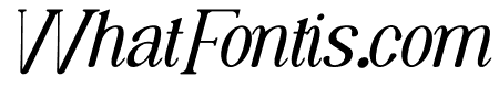 Mazy Theory Italic
