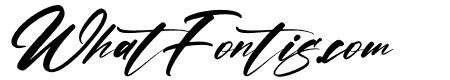 Asetry Fonte Italic