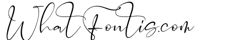 Catalistefa Signature Italic