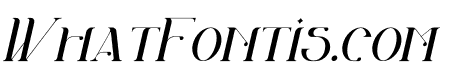 Akila Italic