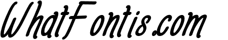 AmlightExtra-Italic