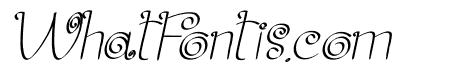Robusta Italic Bold