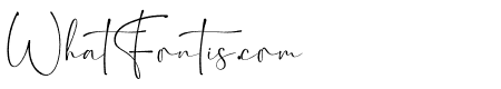Signature Signature