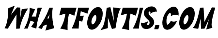 vivier bold Italic