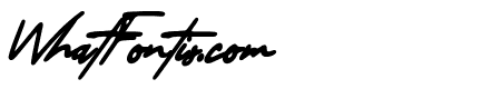 Ethan Signature Italic