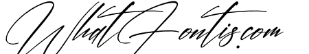 Thunderbold Signature Italic