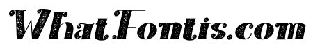 Broggitto Brush Italic
