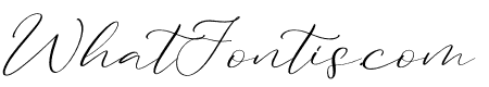 Harvest Daily Italic