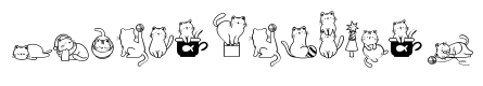 Cats Lover
