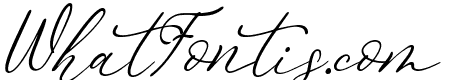 Bojan Signature Italic