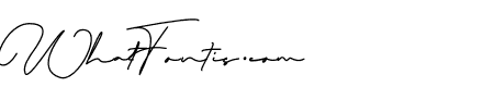 Bielsa Signature