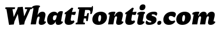 Raritas Black Italic