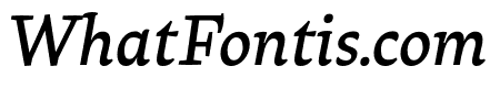 Raritas Medium Italic