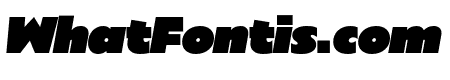 Sigmund PRO Heavy Italic