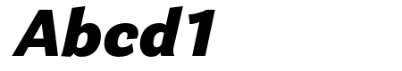 Parry Grotesque Black Italic