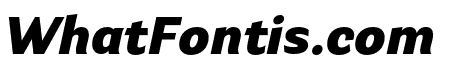 Parry Grotesque Black Italic
