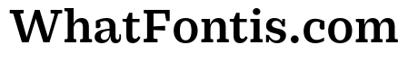 Practical Serif Bold