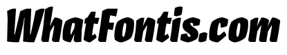 Pilot Black Italic