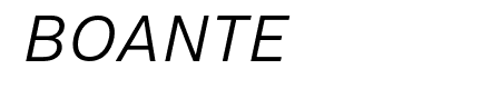 Nitti Grotesk Bold Italic