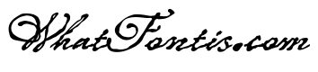 P22 Roanoke Script Regular