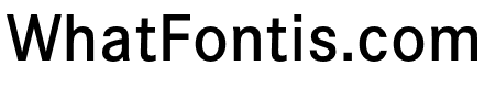 DNP ShueiAntiStd B