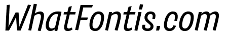 Salad Trial Italic