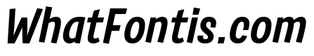 Salad Trial Bold Italic
