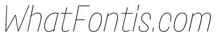 Salad Trial Extralight Italic