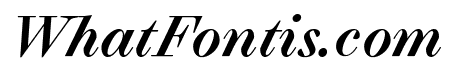 Selva Medium Italic Pro